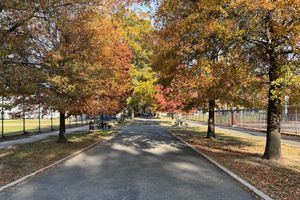 The Cybertraps Podcast: Guide to Episodes 1 through 50