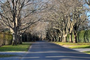 Cybertraps for Educators: Digest #2021-12-20