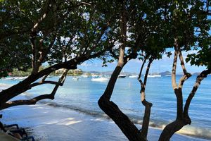 Cybertraps for Educators: Digest #2022-01-10