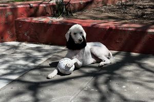 TCP Episode 123 -- The Metaverse: Virtual World, Real Dangers