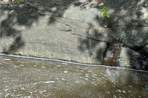 Cybertraps for Educators Digest