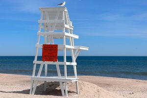 Cybertraps for Educators Digest