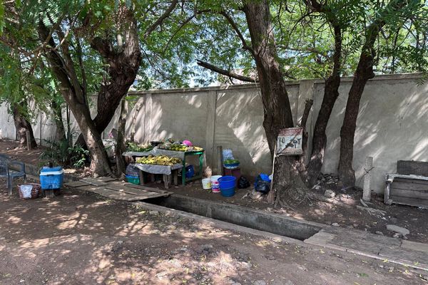 Cybertraps for Educators Digest