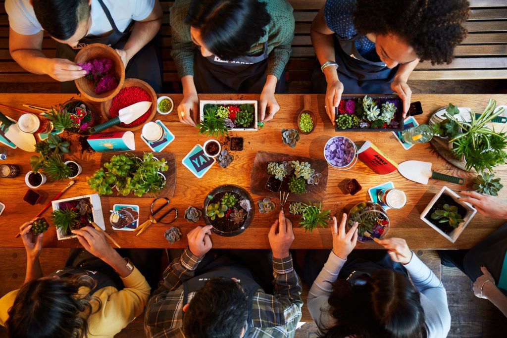 plant nite group overhead