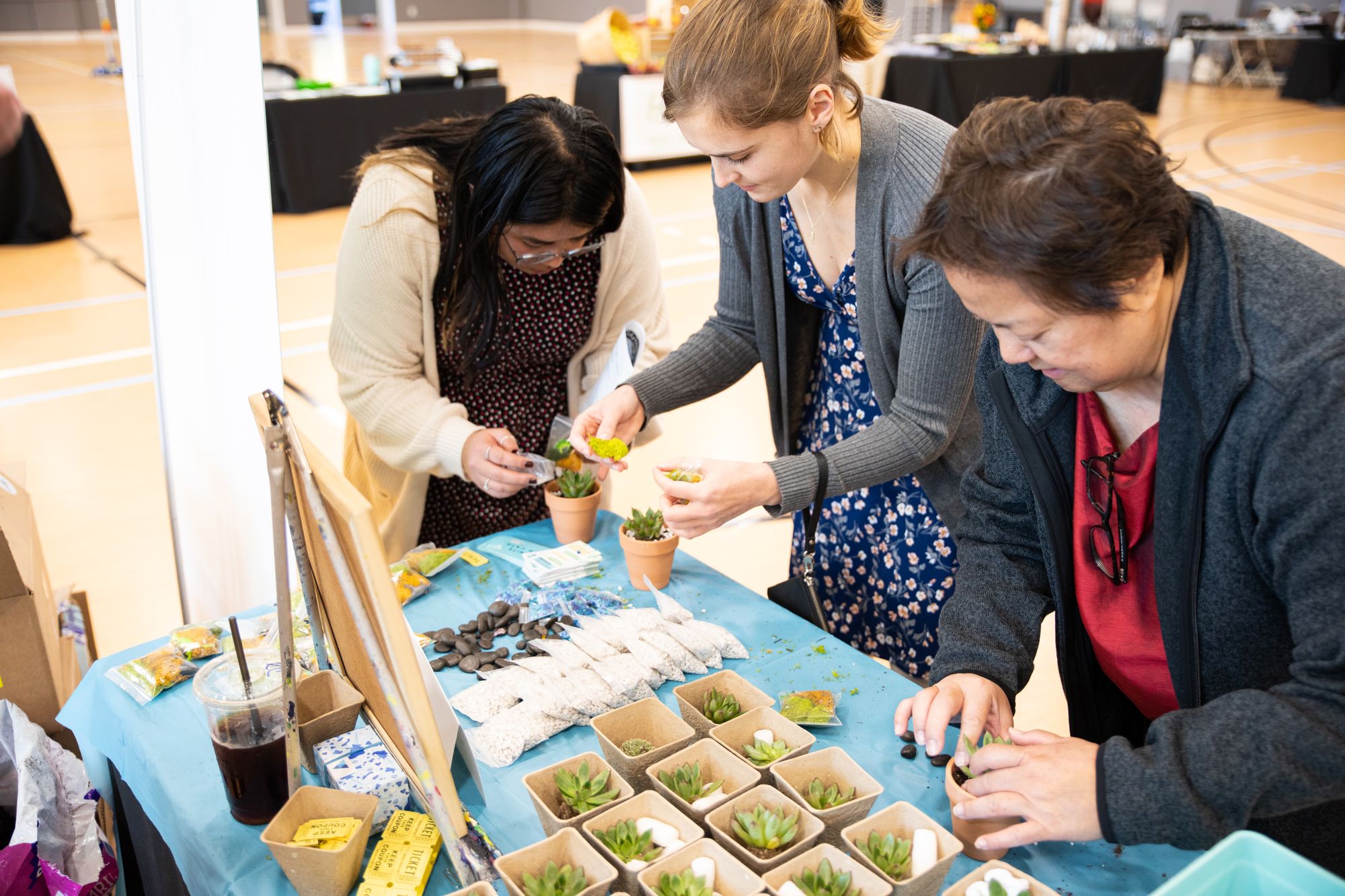 Three female coworkers planting succulents