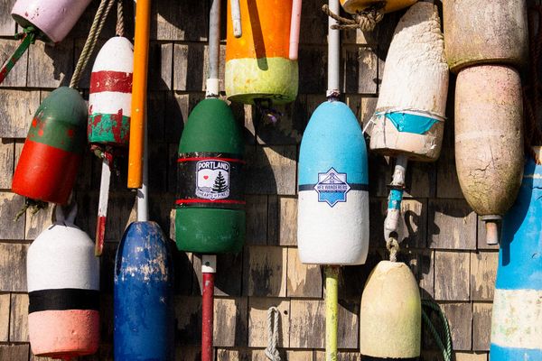 Wanderers book friendly with new-minted USL side Portland Hearts of Pine