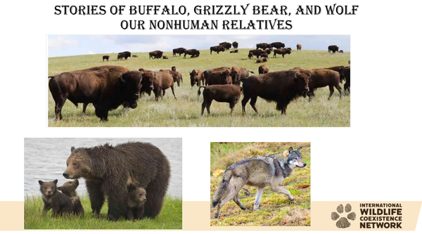 Coexistence: Stories from Wolf Country