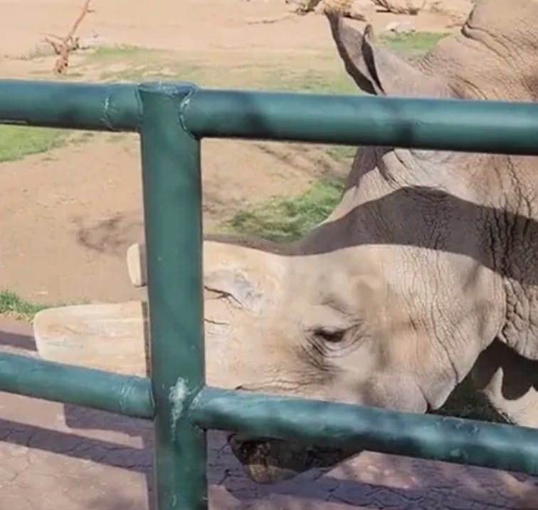 Zoo