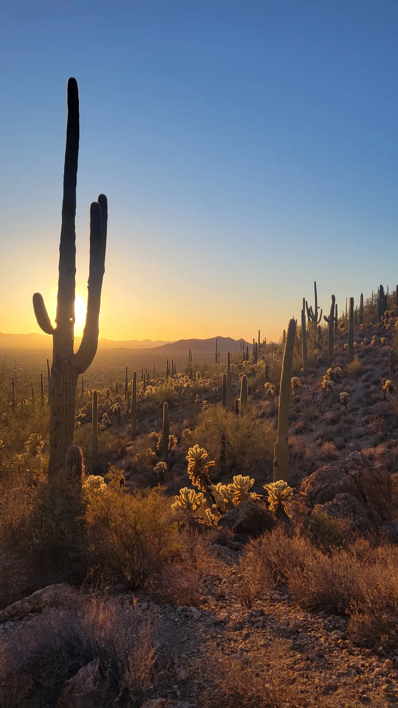 Gates Pass Tucson