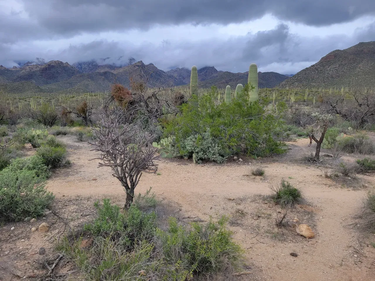 Arizona Hiking