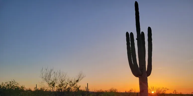 Iconic Desert Landscapes