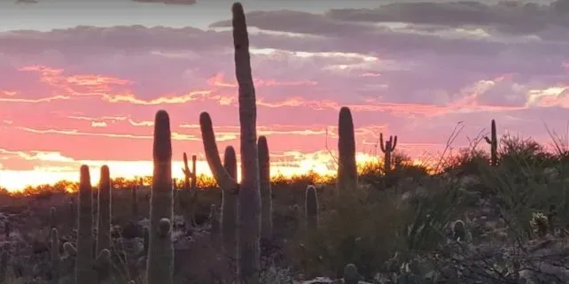 Saguaro West Key Attractions