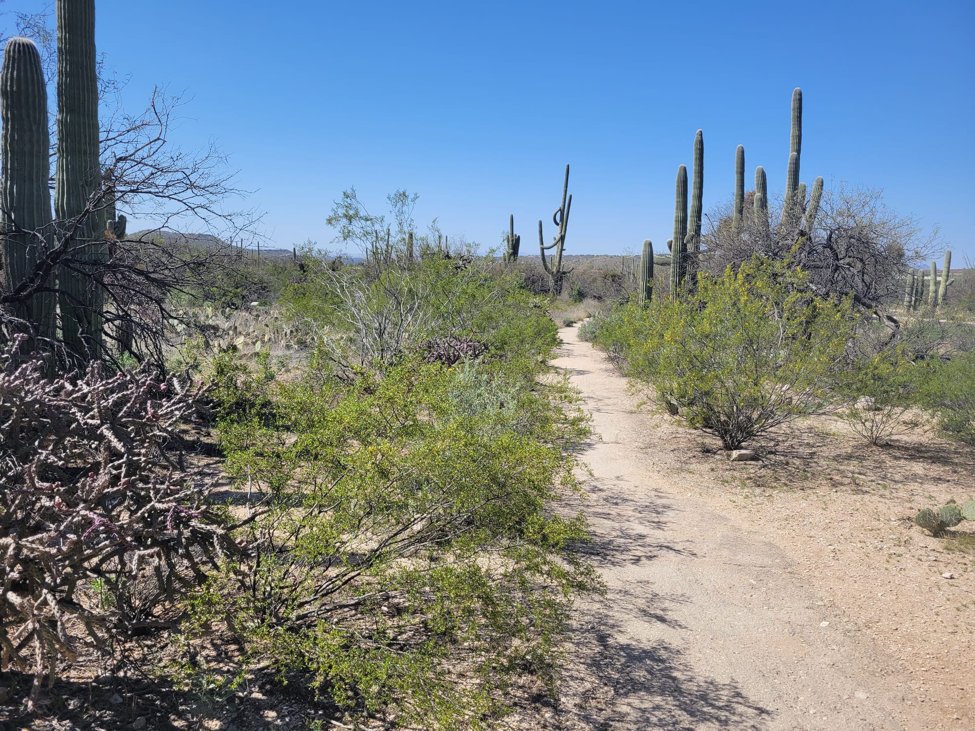 Arizona summer hiking