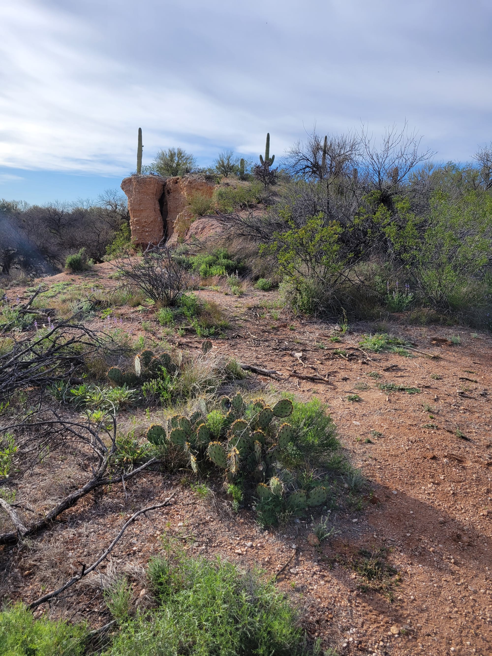 Arizona summer hiking