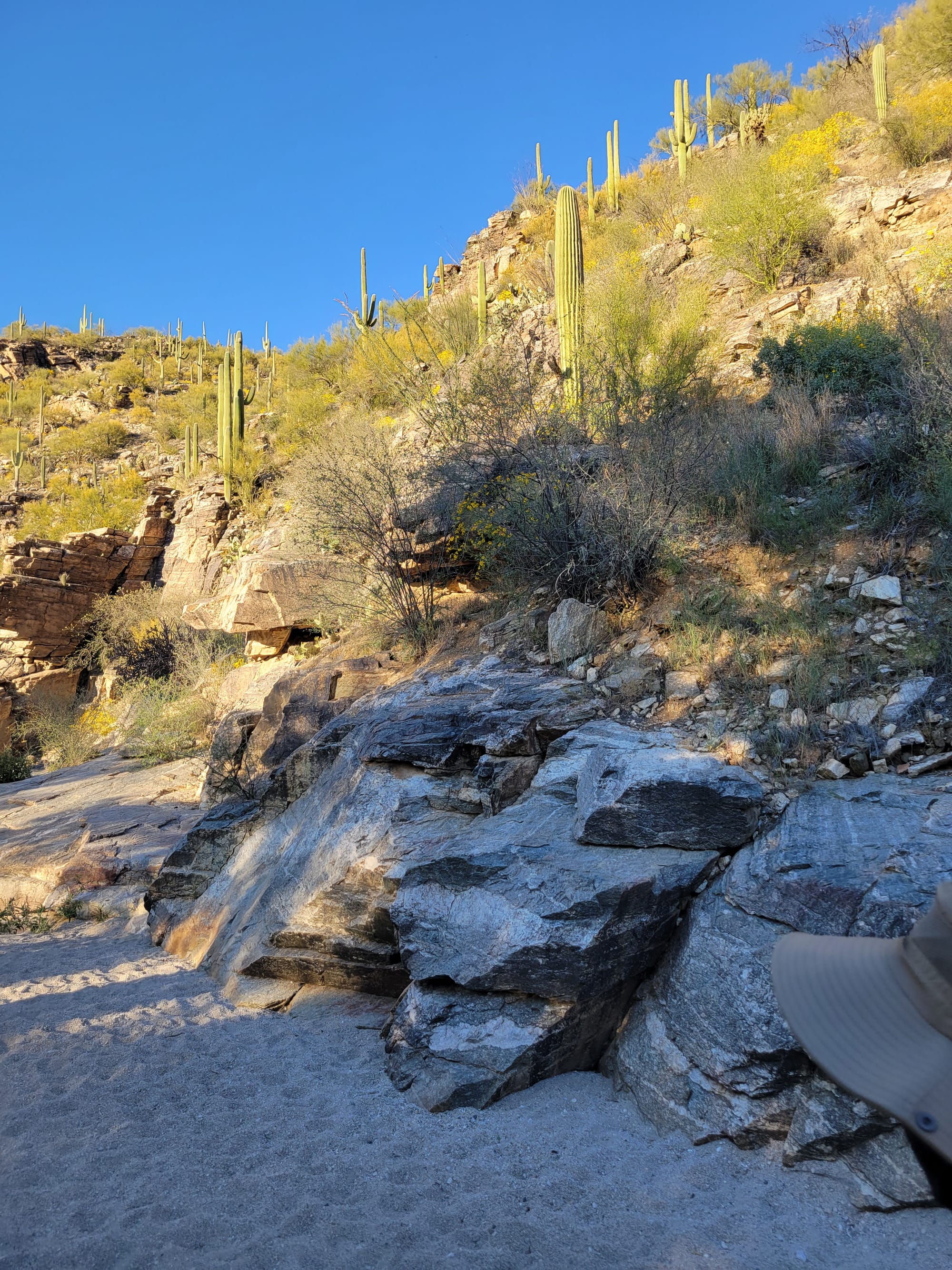 Arizona summer hiking