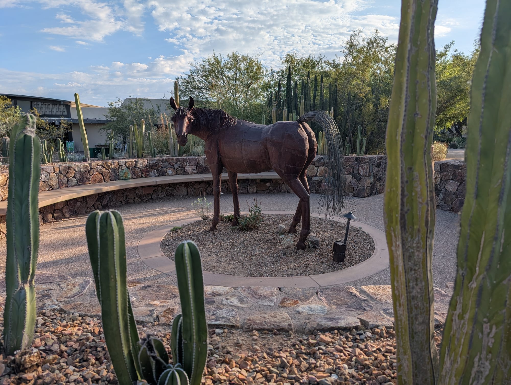 Tohono Chul