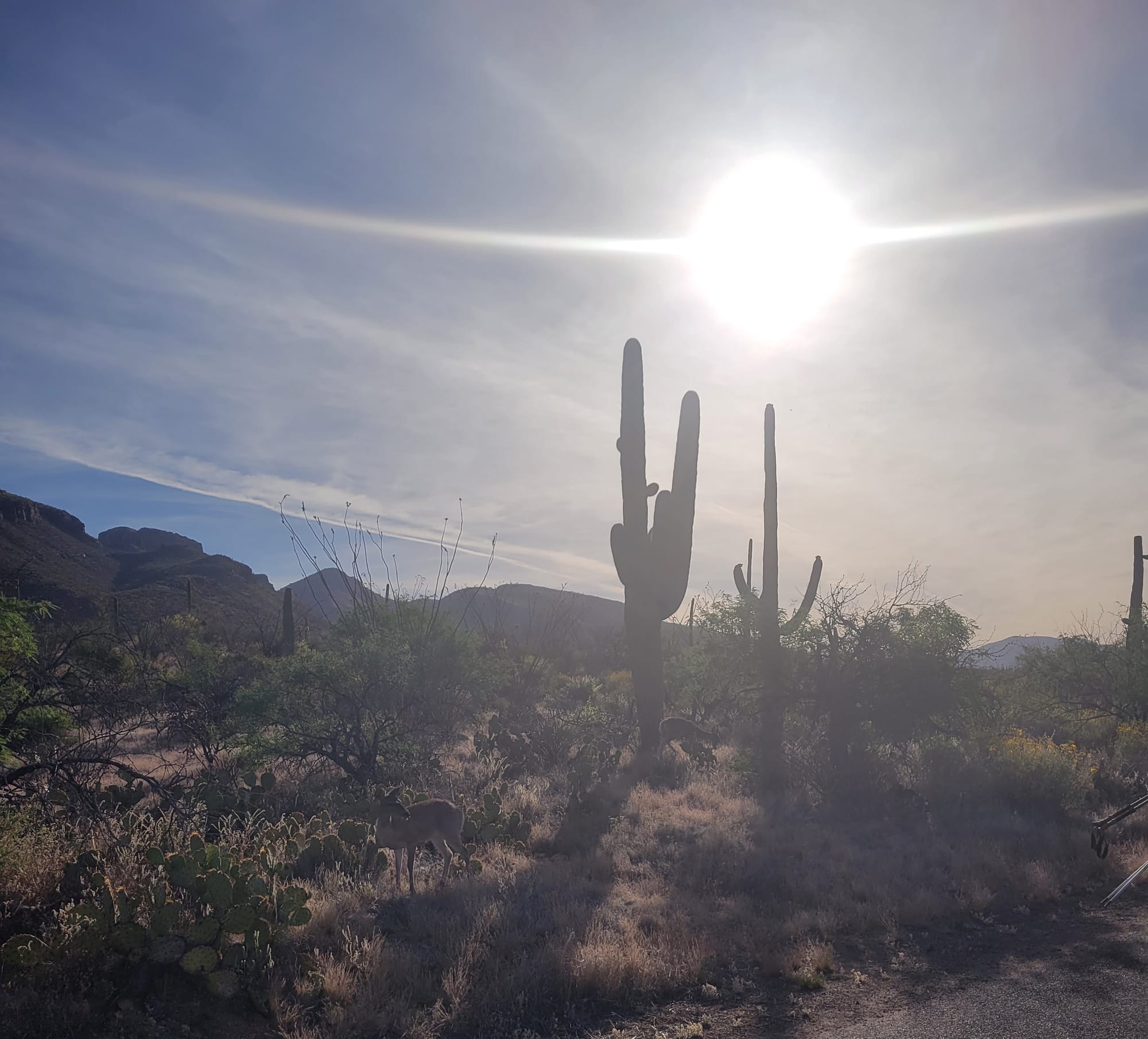 Arizona summer hiking