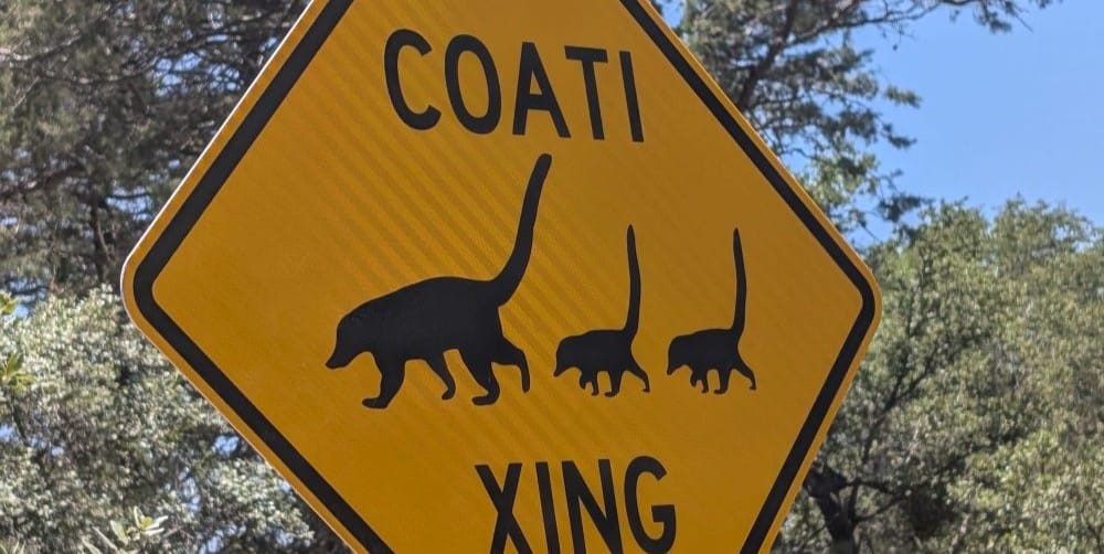 Diversified Mountain Wildlife