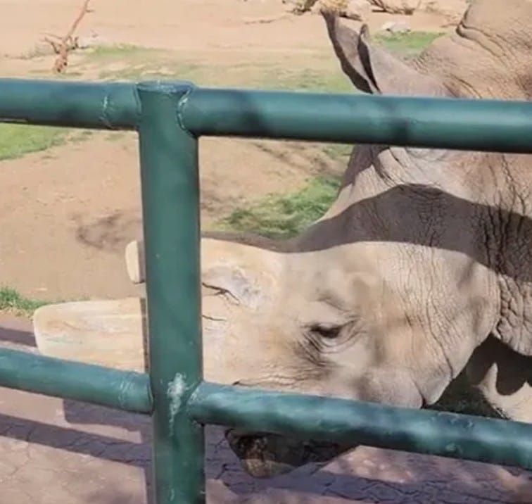 Go Behind the Scenes at Reid Park Zoo