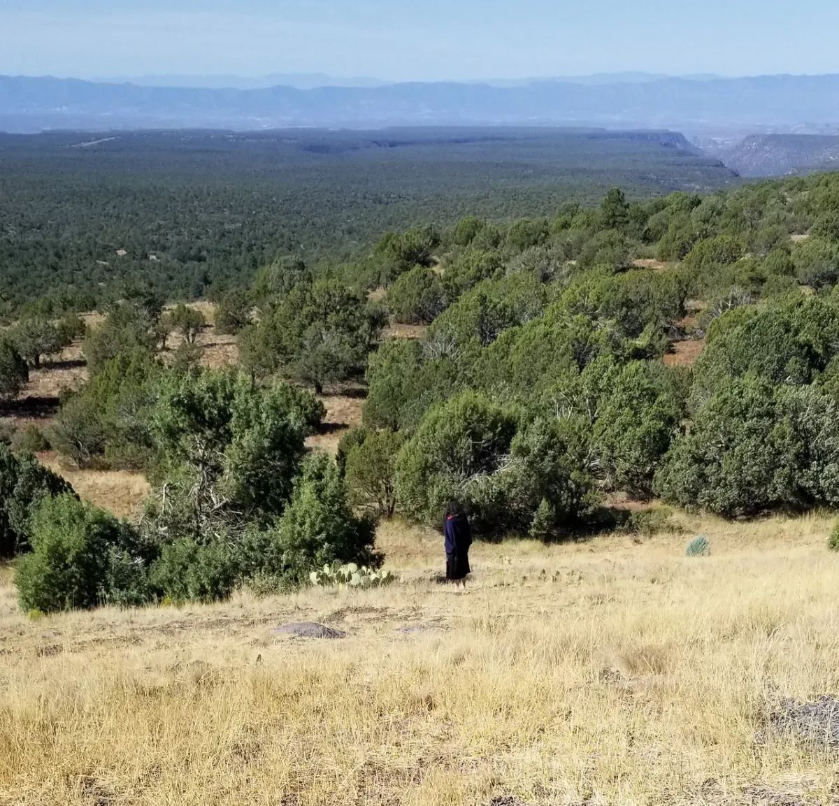 A John Keel–Style Manual for High-Strangeness Zones in Arizona