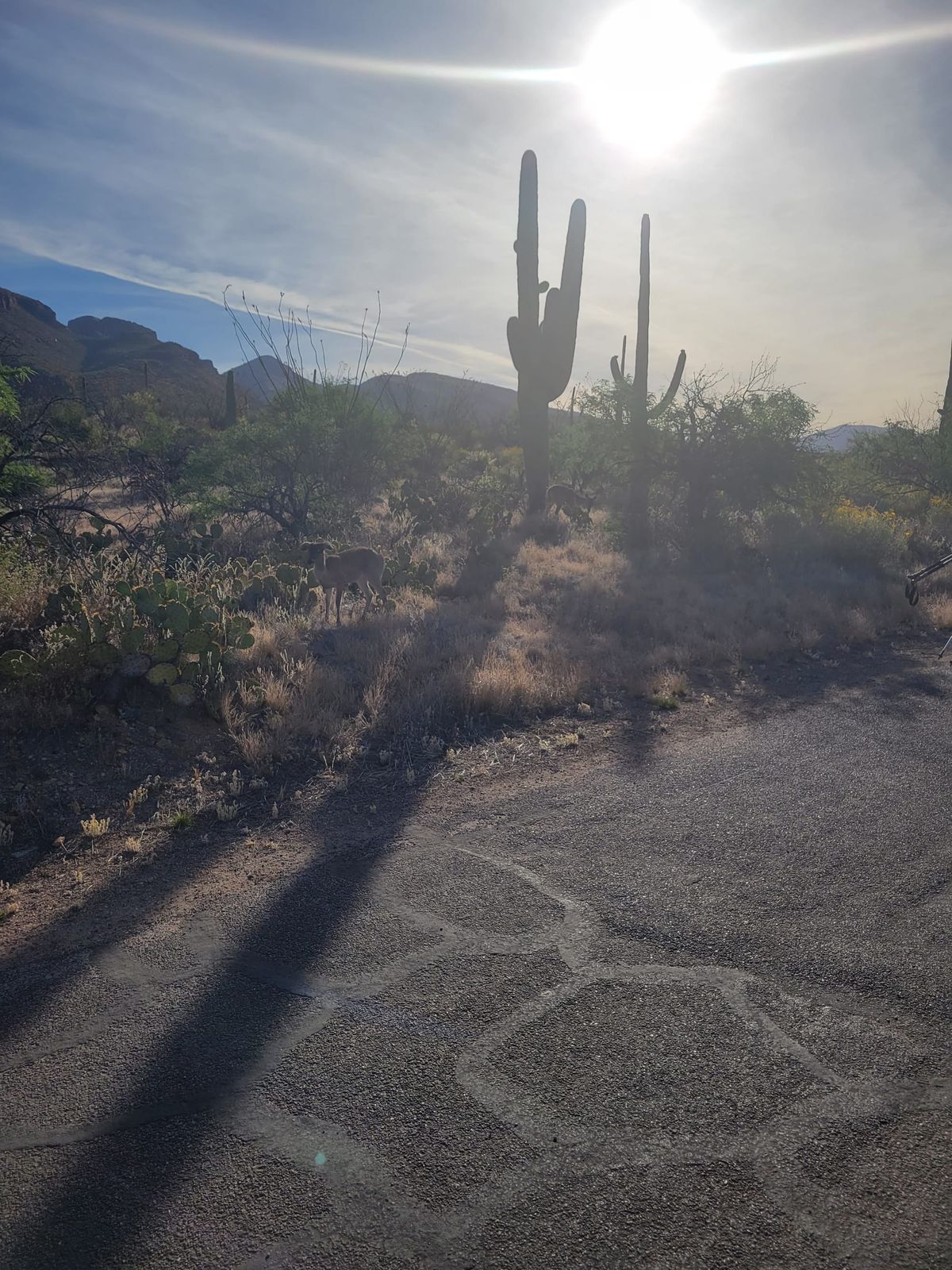 Desert Mirages and Other Strange Natural Phenomena in Arizona