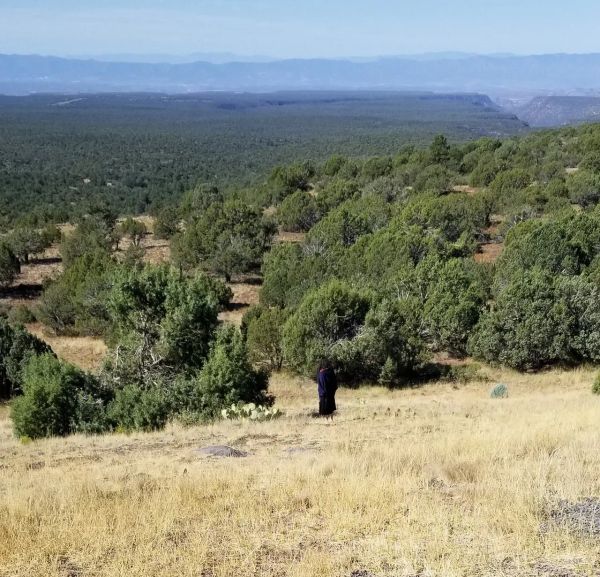 A John Keel–Style Manual for High-Strangeness Zones in Arizona