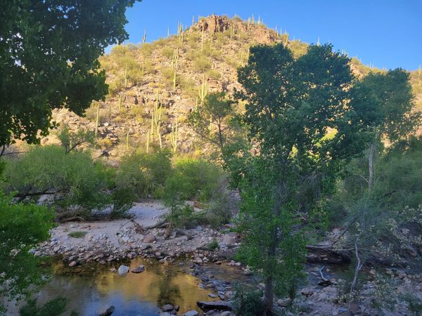 Desert Survival Lessons You Didn’t Know You Already Use