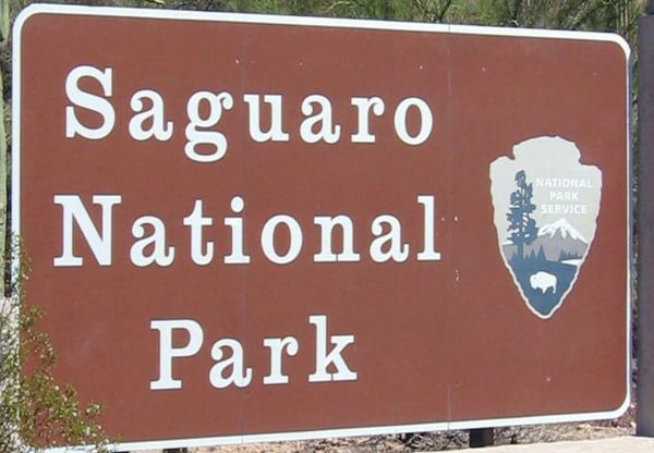 Saguaro Showdown: East vs. West Saguaro National Park