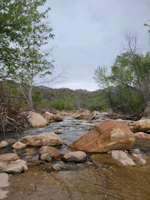 Arizona Packing List: What to Wear for a Desert-to-Mountain Trip
