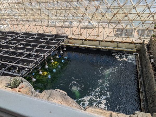 5 Fascinating Jobs You Can Only Really Find in Arizona