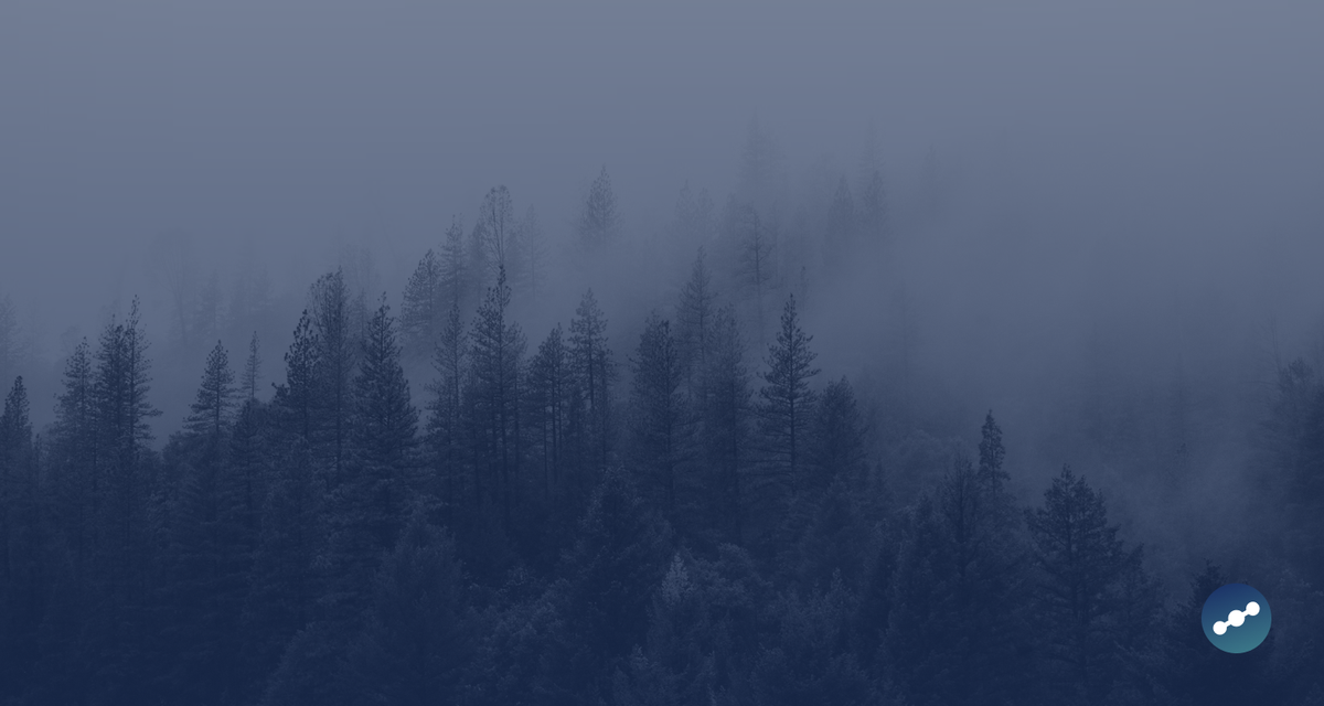 Core Carbon Principles: What you need to know