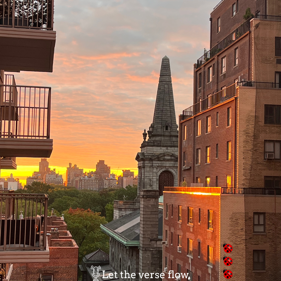 photo of a sunrise overlooking Central Park in NYC 