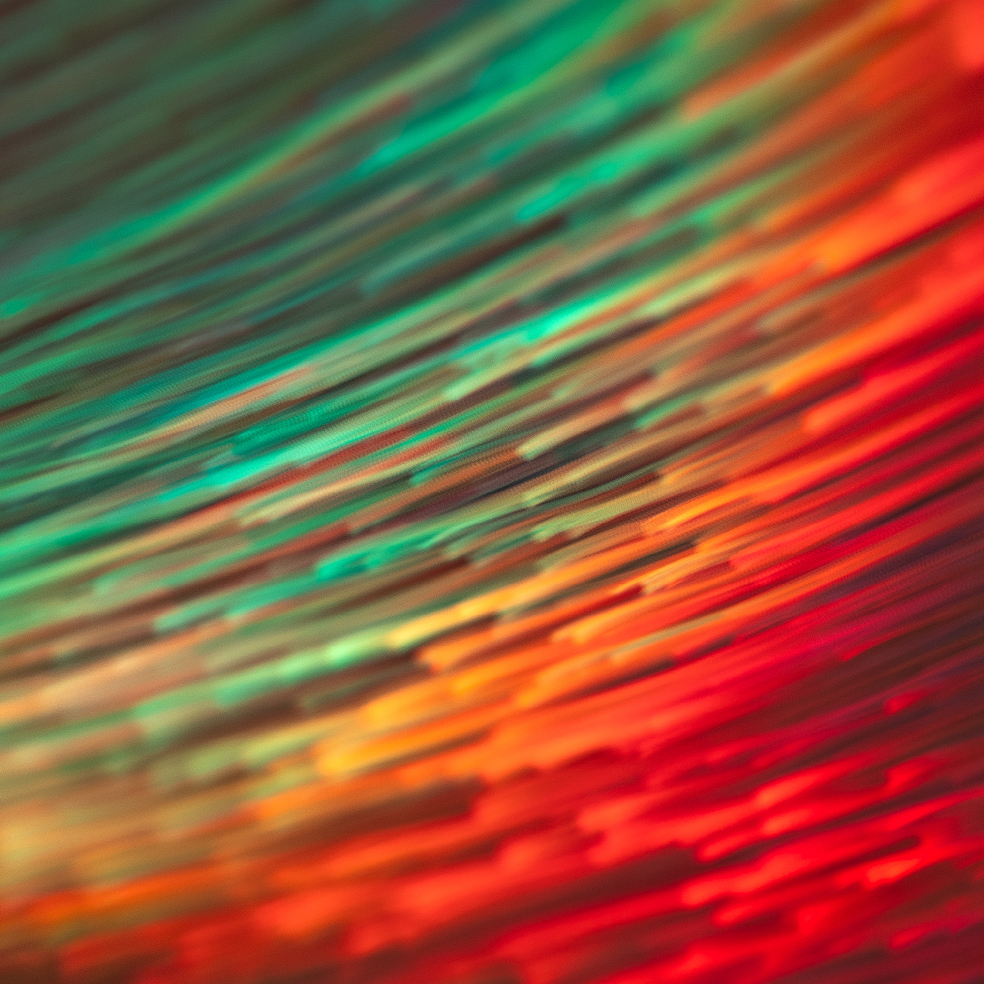 abstract photo of vibrant shards of green, orange and red