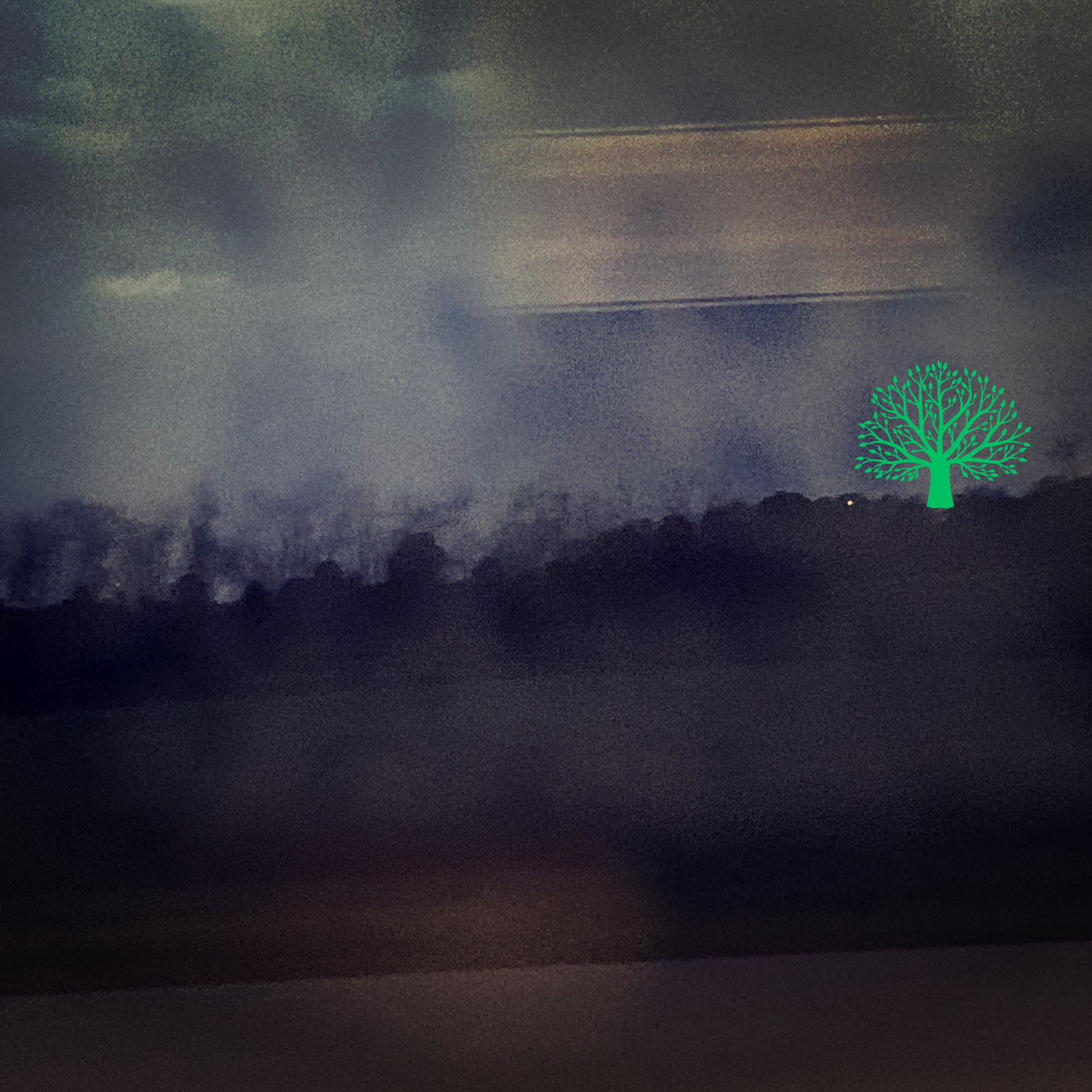 blurry photo of trees on a hill at dusk with one green graphic tree on the top of the hill