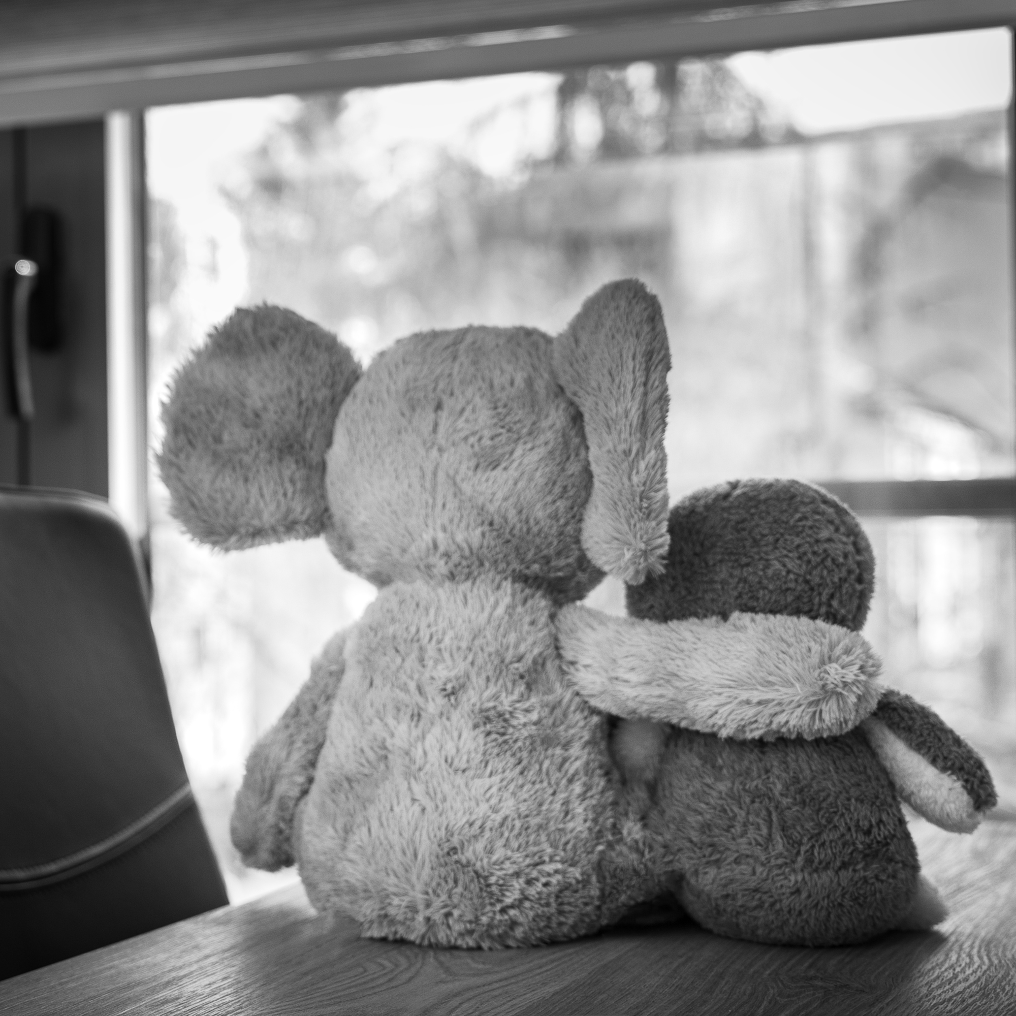 black and white photo of the back of one stuffed animal with their arm around another smaller stuffed animal