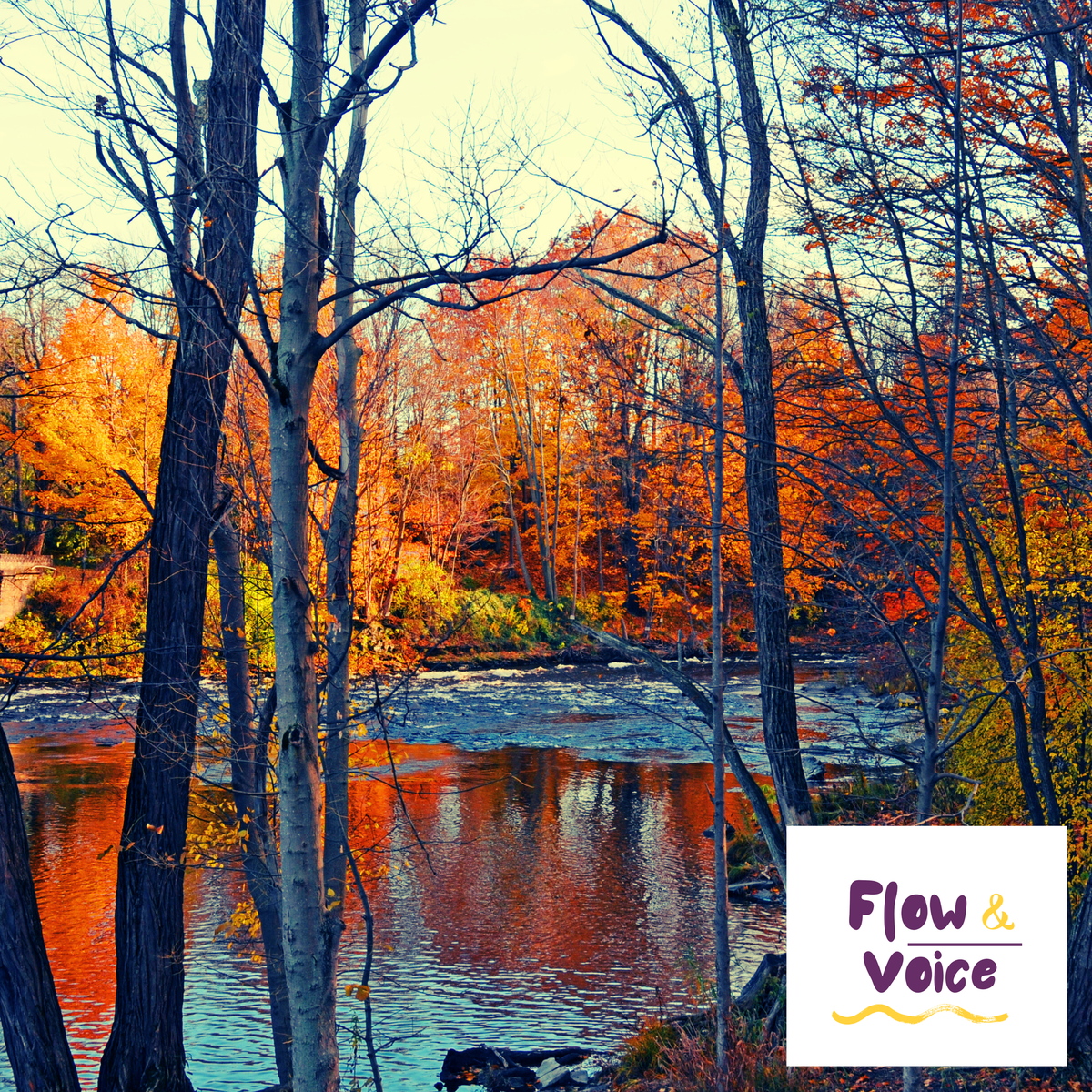 Holding Space for Yourself