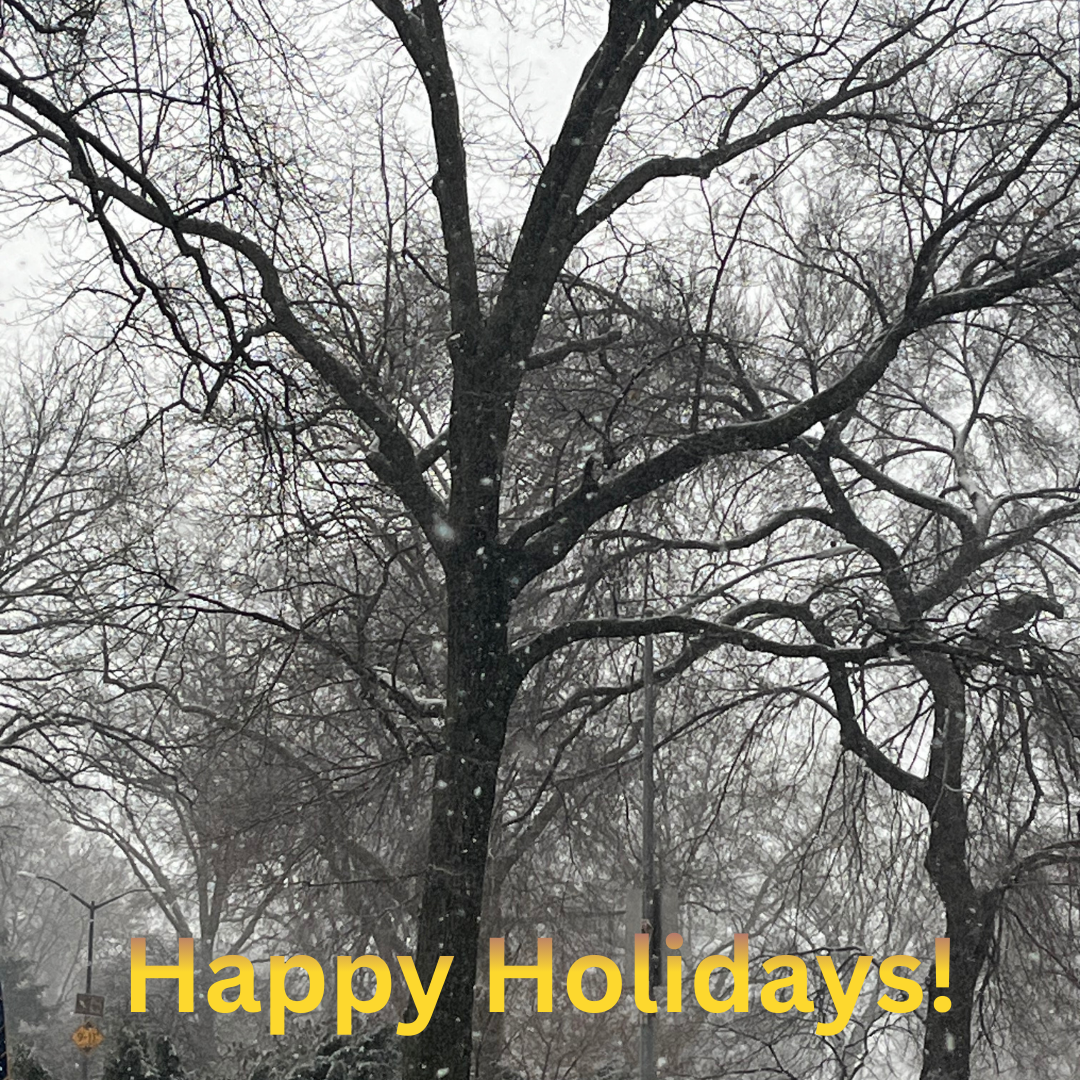 Snow-covered trees in Central Park, NY 