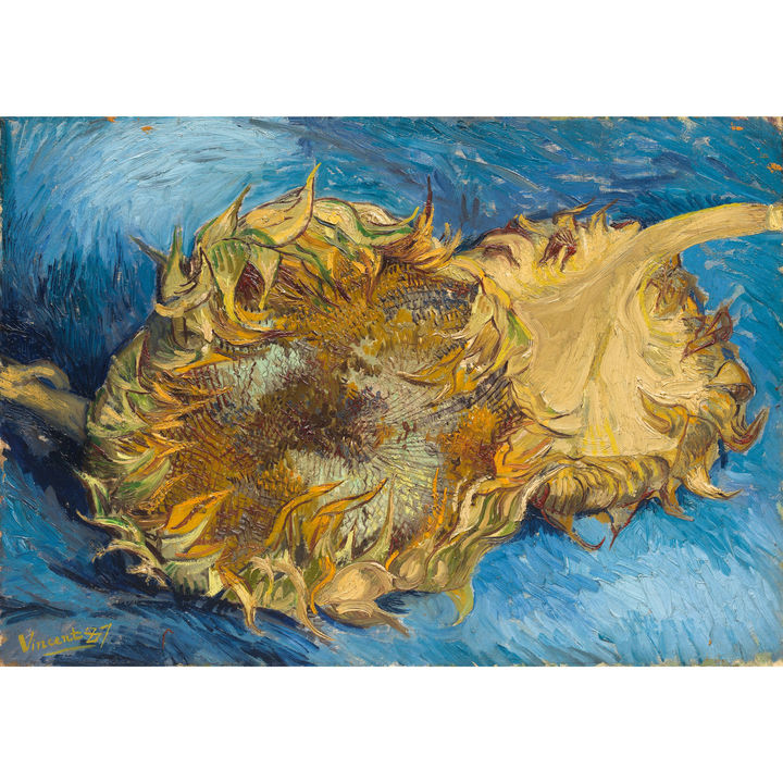 Van Gogh's Letters | Texts from a 93-Year-Old Mom | Reframing the Empty Nester Journey