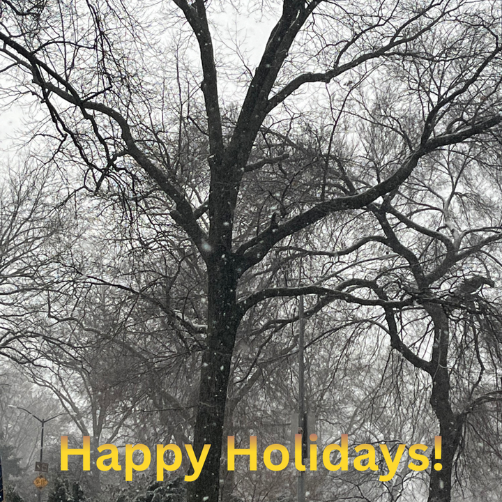 Snow-covered trees in Central Park, NY 
