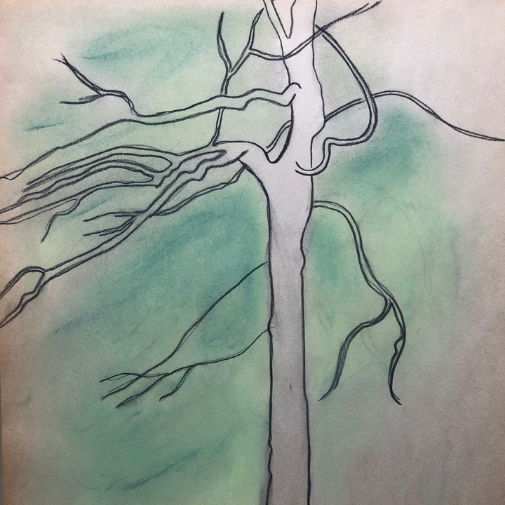 charcoal sketch of a tree with green background