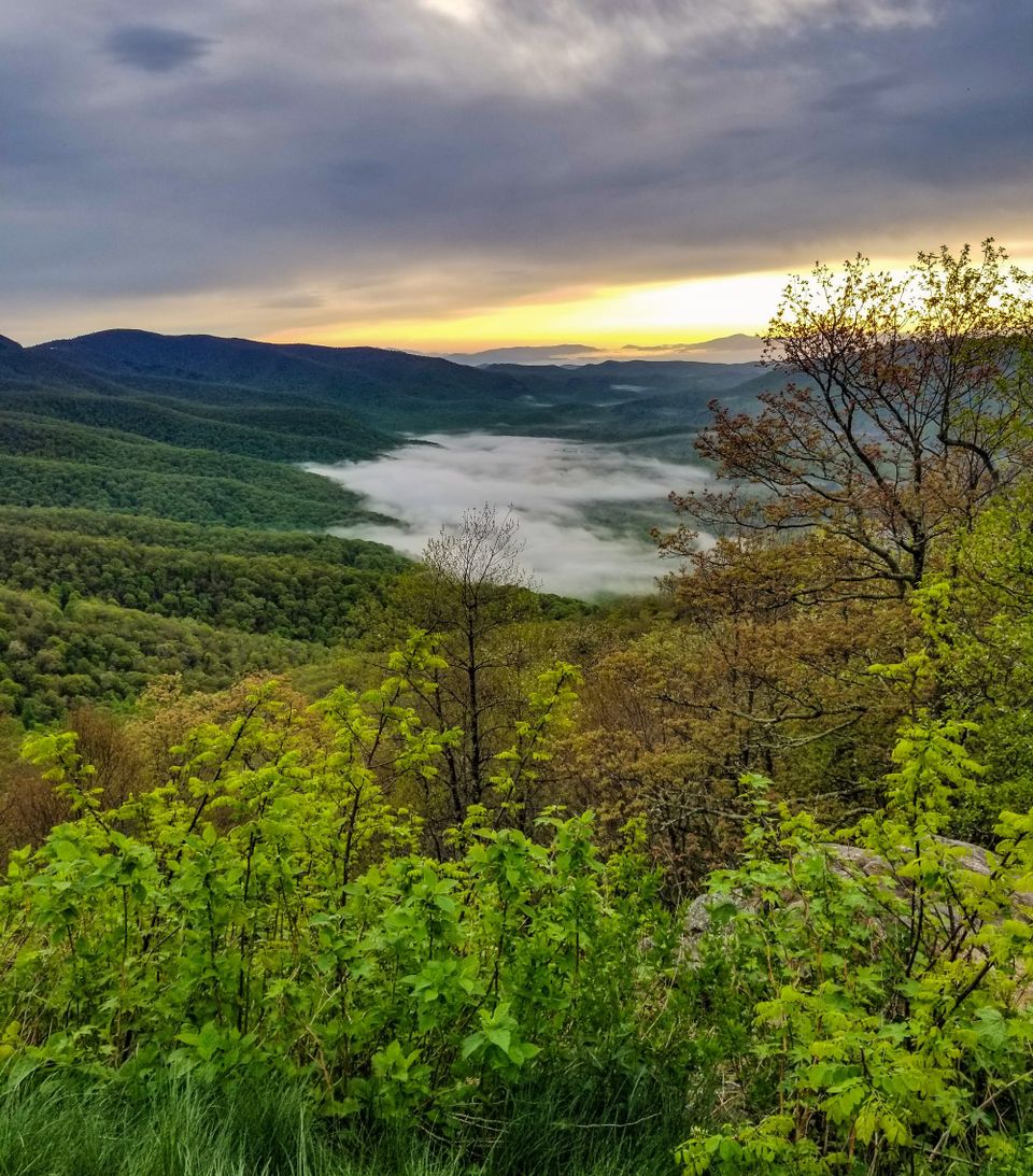 a photo of a green forest taken from a vantage point, with low hanging cloud cover and morning sun visible over low mountains in the distance