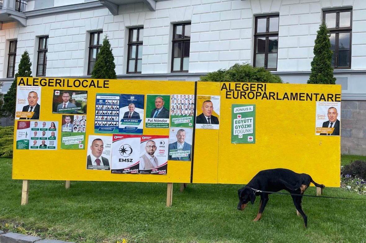 Jelige: pacsit!