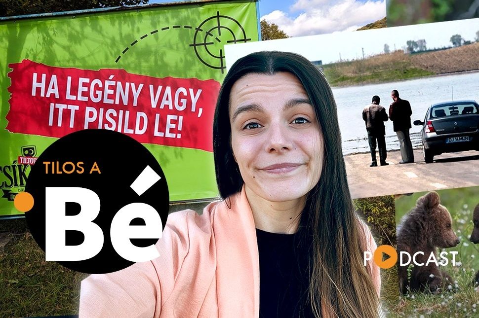 Ringbe száll a herr generálé, a nagy cicaharcos