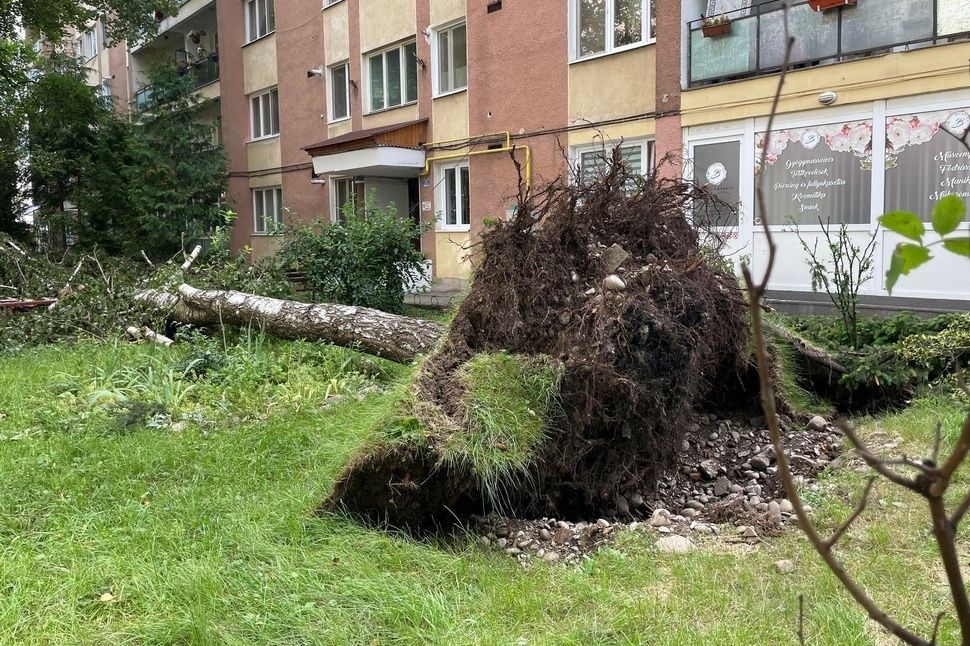 Hat megyében léptek közbe a katonai tűzoltók a viharkárok miatt