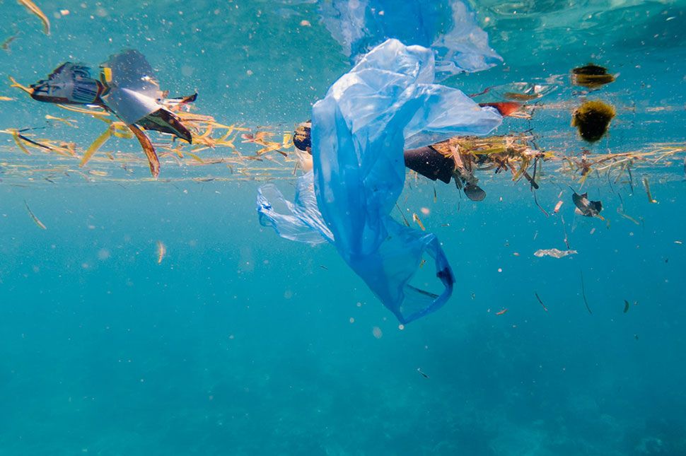 A szemétmentes élet kimért művészete