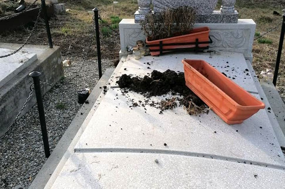 Medve garázdálkodott Székelyderzsben