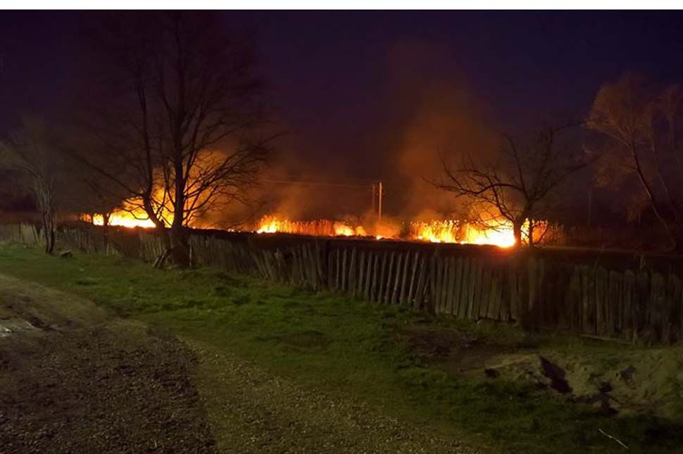 Meggyújtották a nádast Városfalván