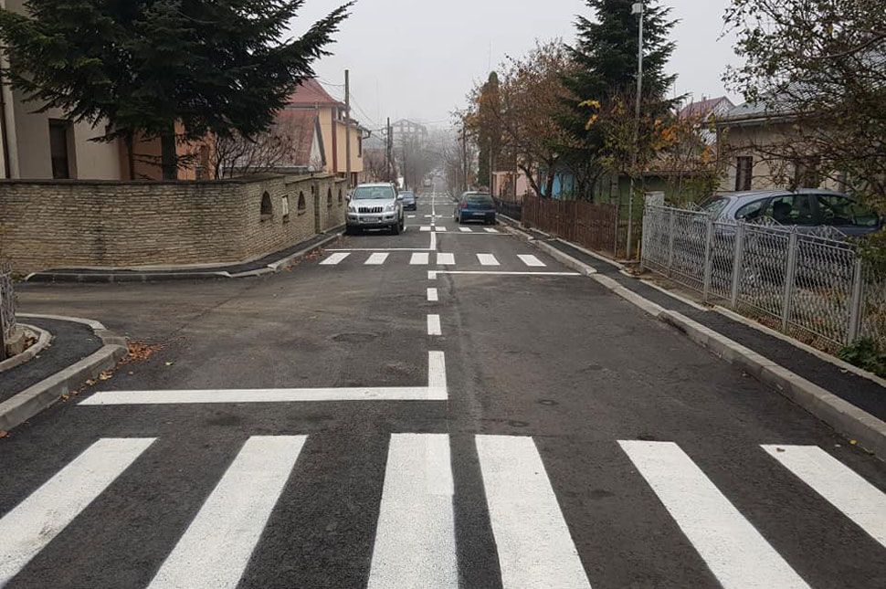 Kilenc zebra pár száz méteren