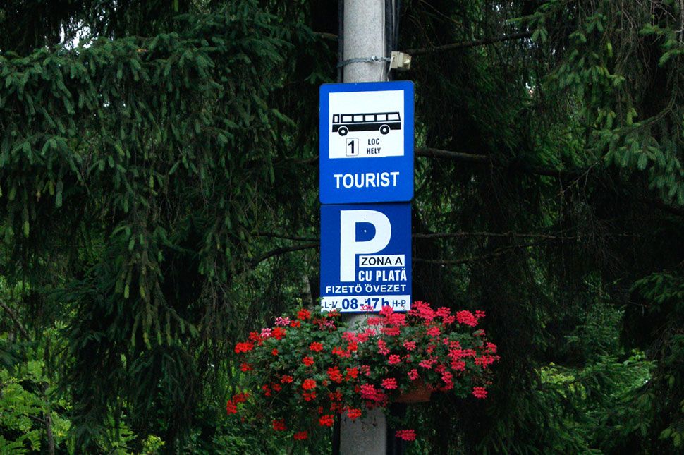13 dolog, amit Bede Márton Székelyudvarhelyen tanulhat
