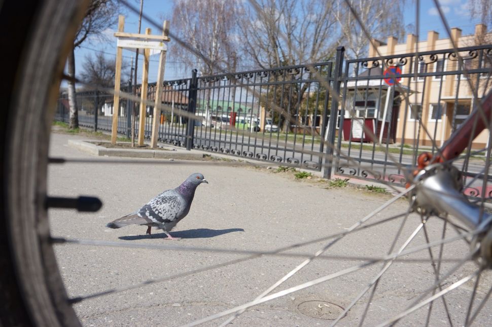 Úgy beszélnél valakivel?